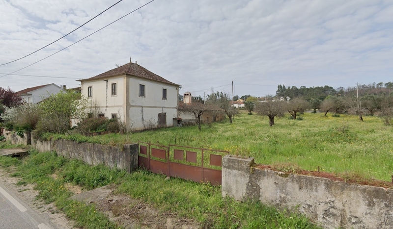 Lote 1