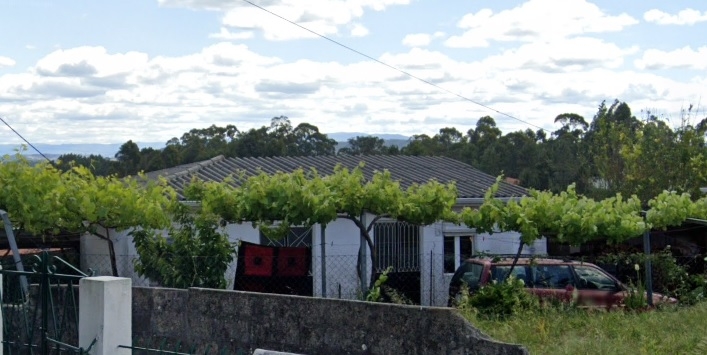Lote 1