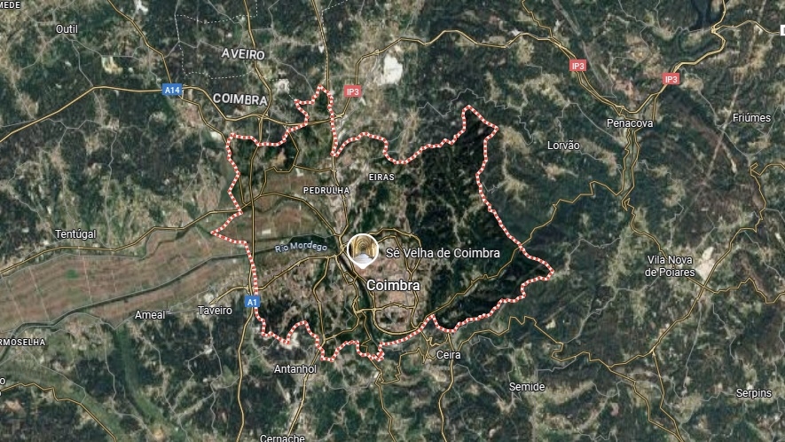Lote 1
