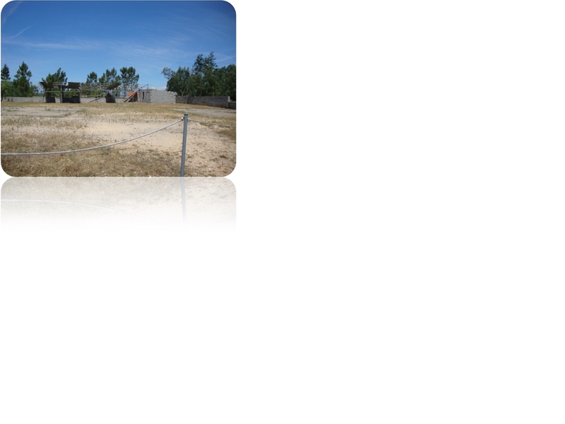 Lote 1