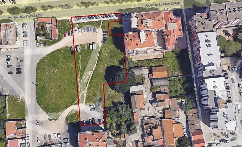 Lote 1